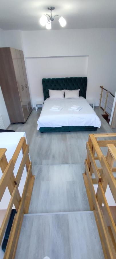 Duplex Belle View Sinaia-Free Parking Apartment Luaran gambar