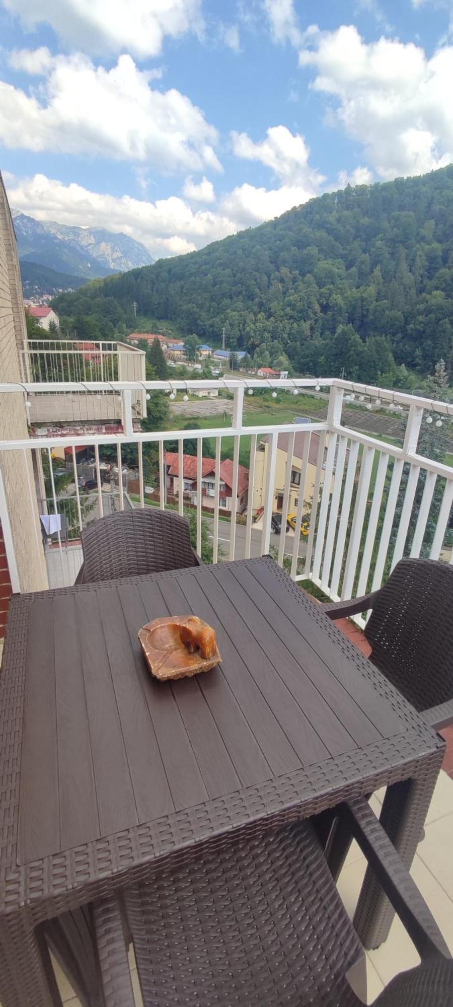 Duplex Belle View Sinaia-Free Parking Apartment Luaran gambar