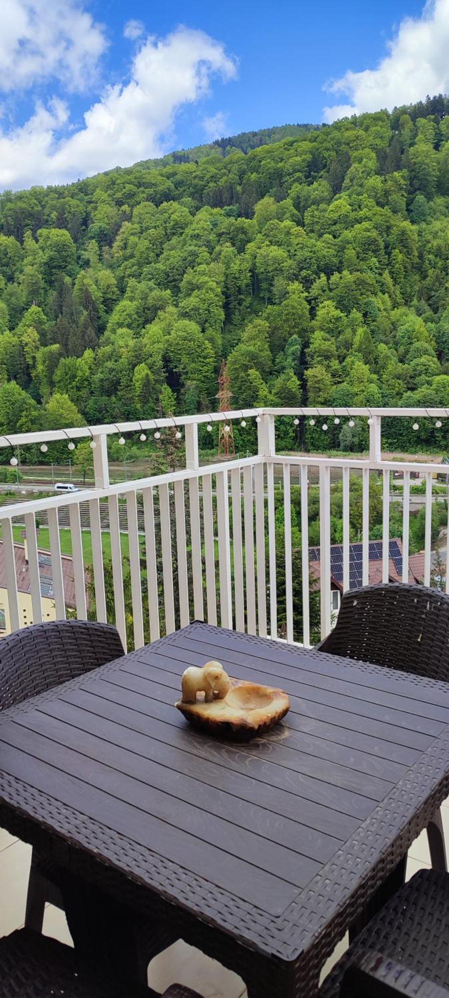 Duplex Belle View Sinaia-Free Parking Apartment Luaran gambar