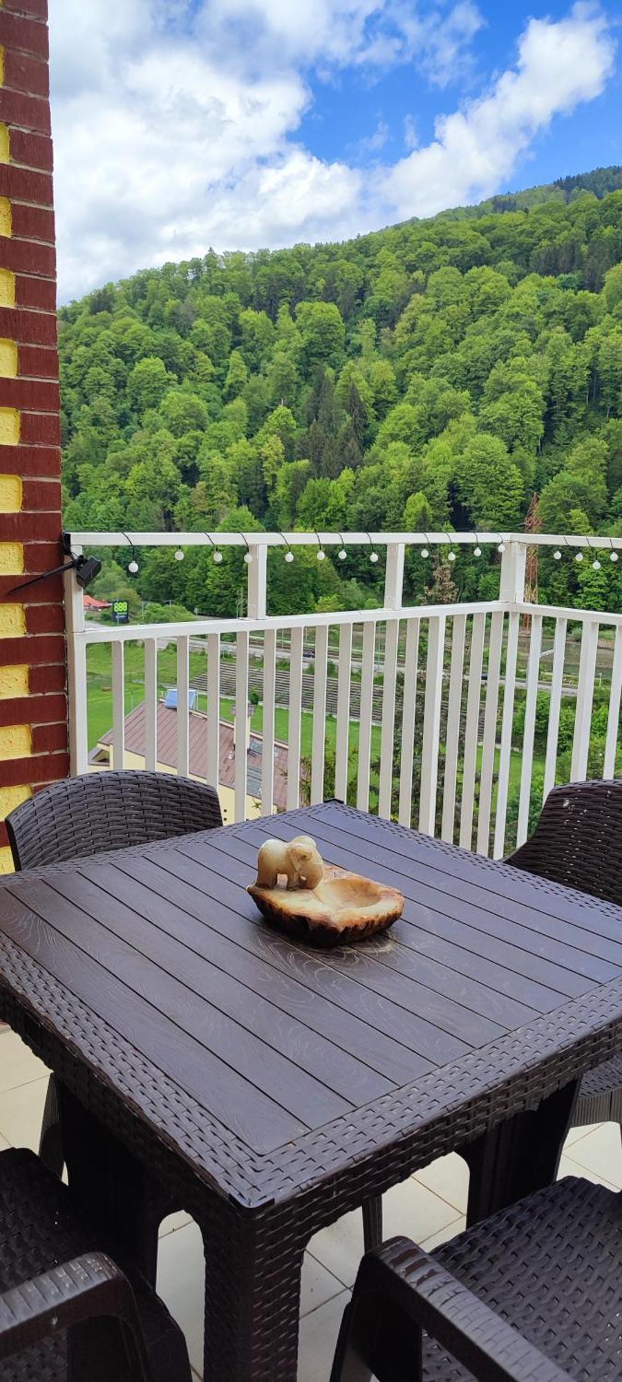 Duplex Belle View Sinaia-Free Parking Apartment Luaran gambar