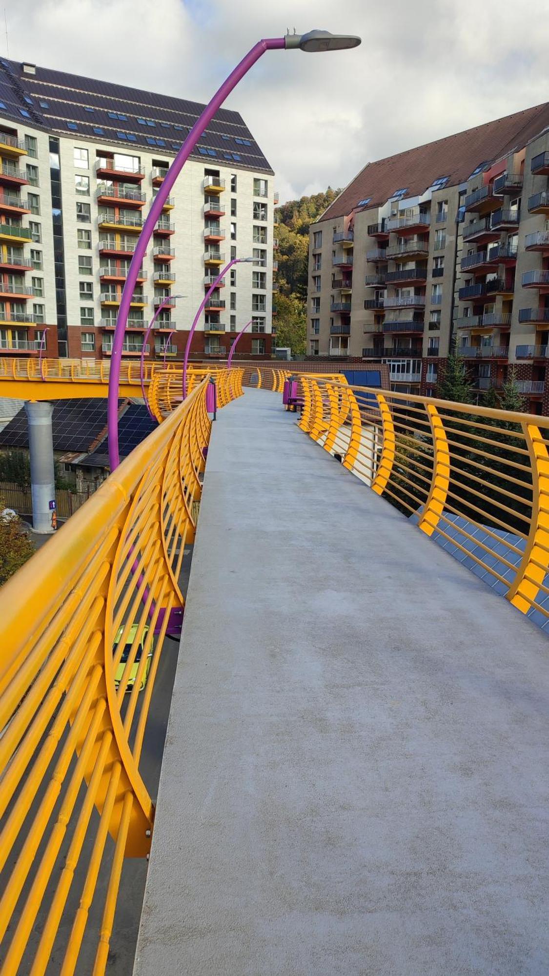 Duplex Belle View Sinaia-Free Parking Apartment Luaran gambar